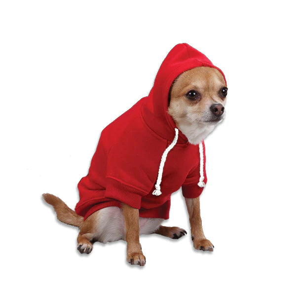 5 Reasons for a Dog Hoodie