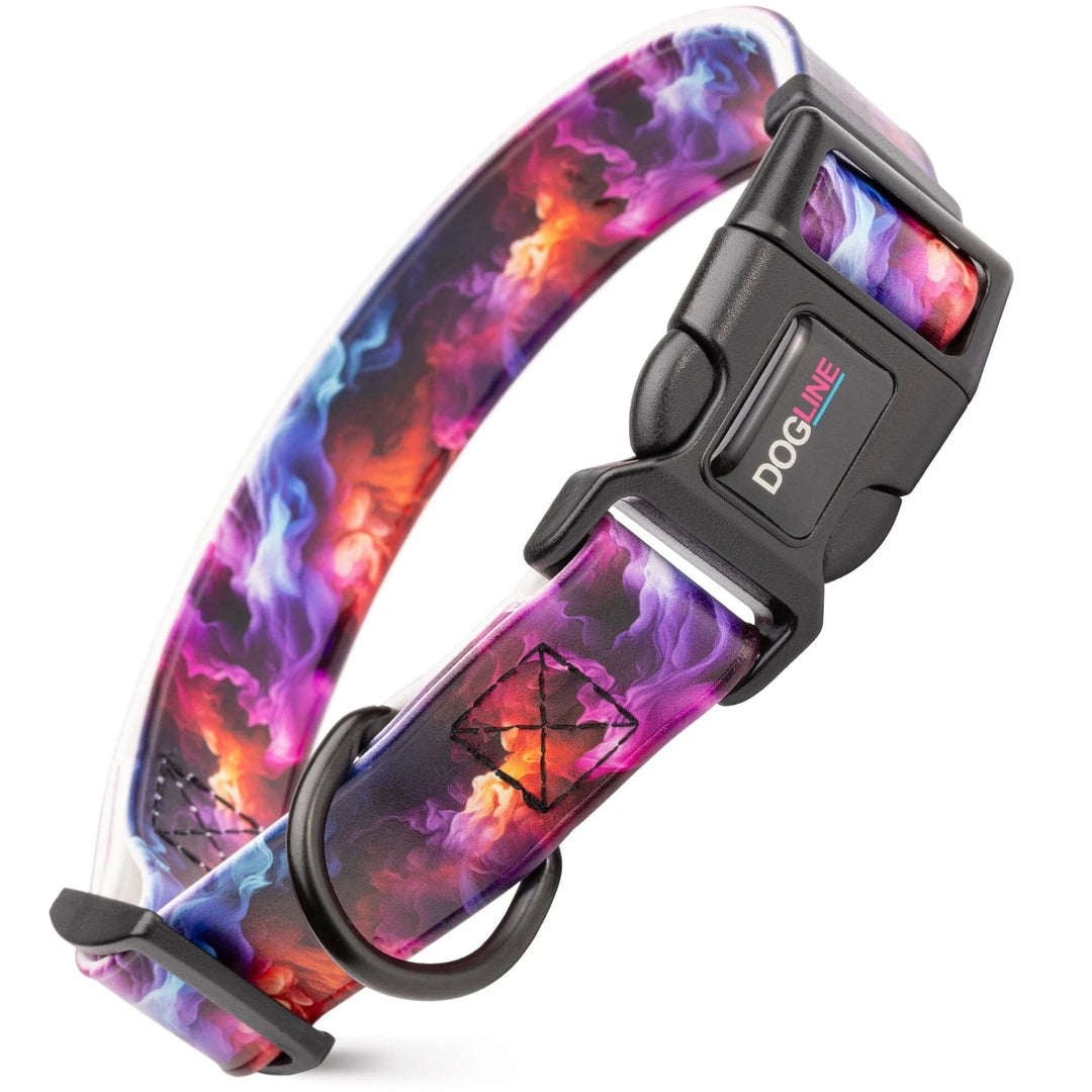 biothane dog collar