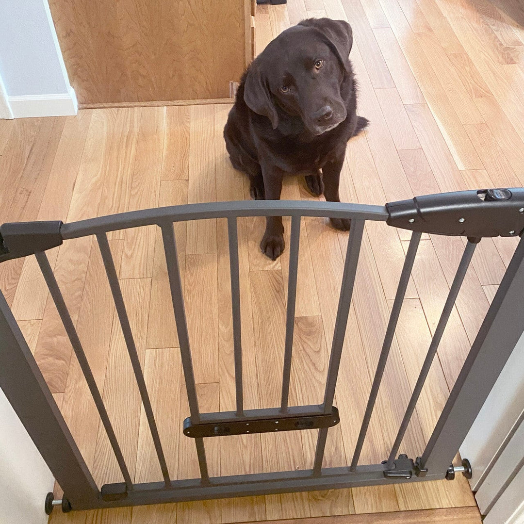 pet gate with adjustable small pet door