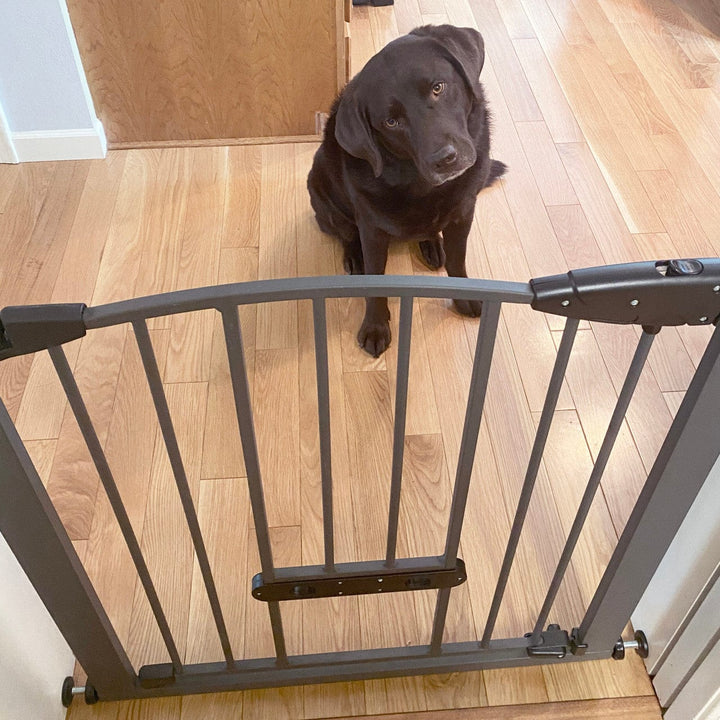 pet gate with adjustable small pet door