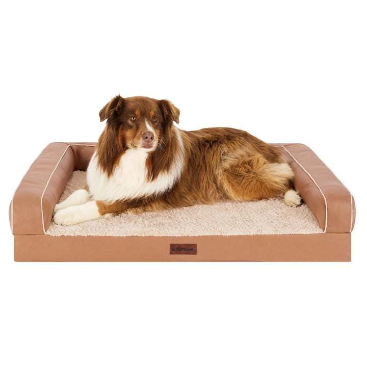 bronze (carmel)  dog bed -modern w accent piping