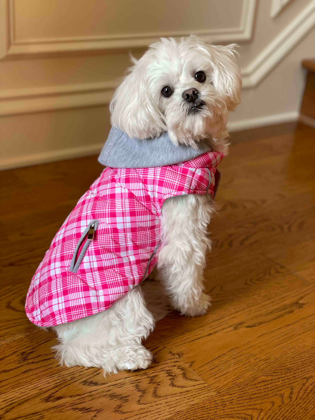 Weekender Dog Hoodie - Pink