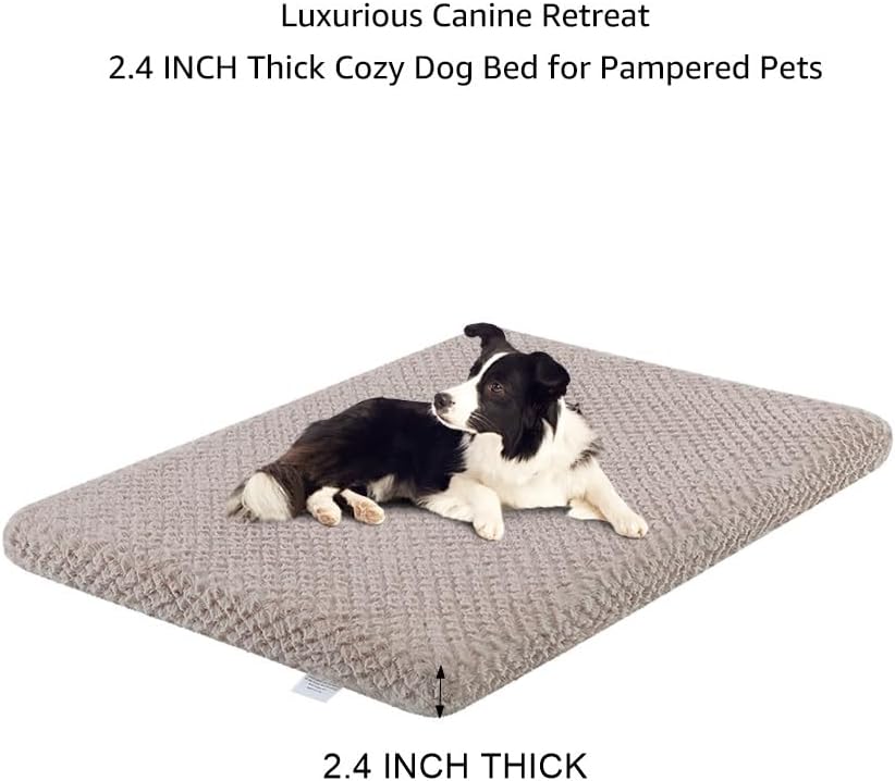 comfort bed