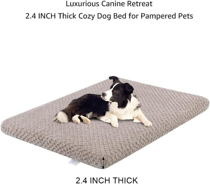 comfort bed