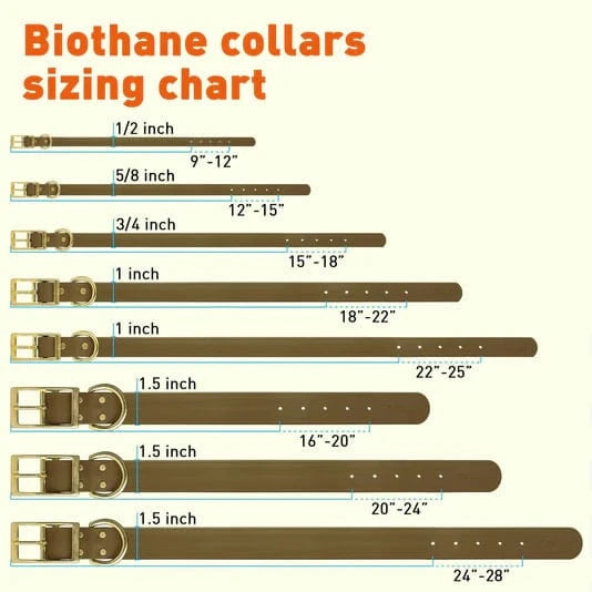 Wide Metal Buckle Waterproof Dog Collars - 6 Colors