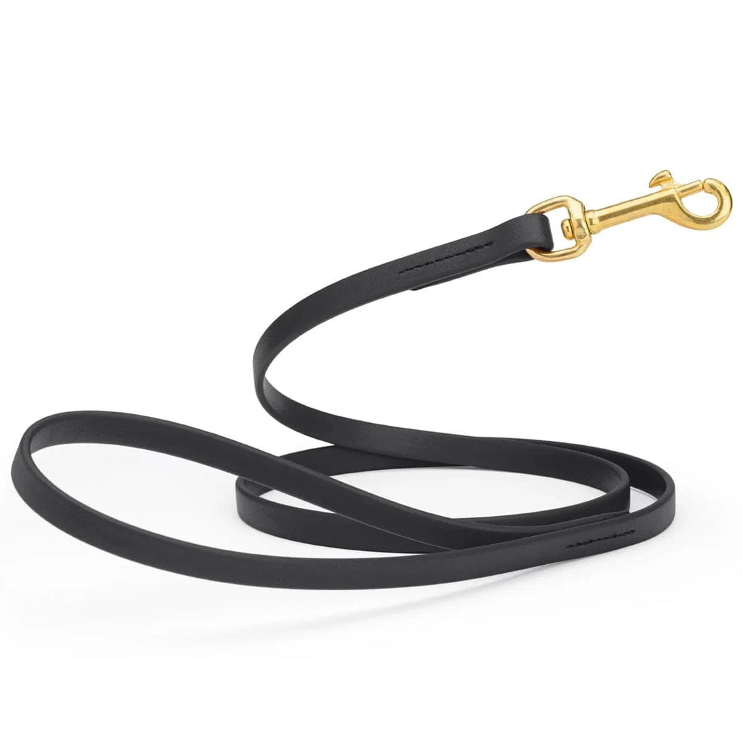 Wide Metal Buckle Waterproof Dog Collars - 6 Colors