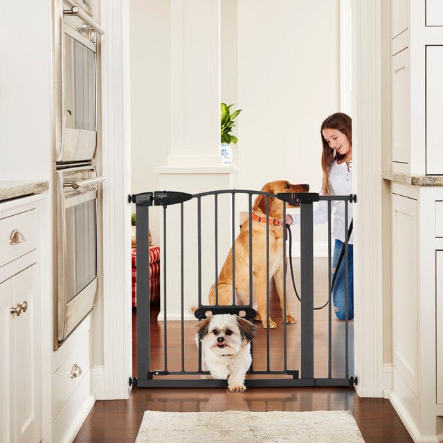 graphite dog gate with cat door