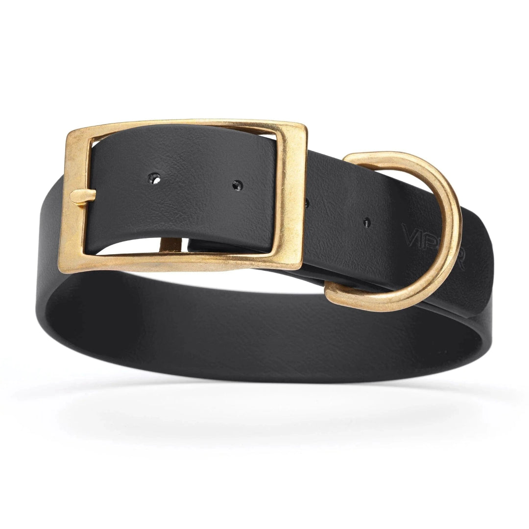 black wide collar with sold brass hardware
