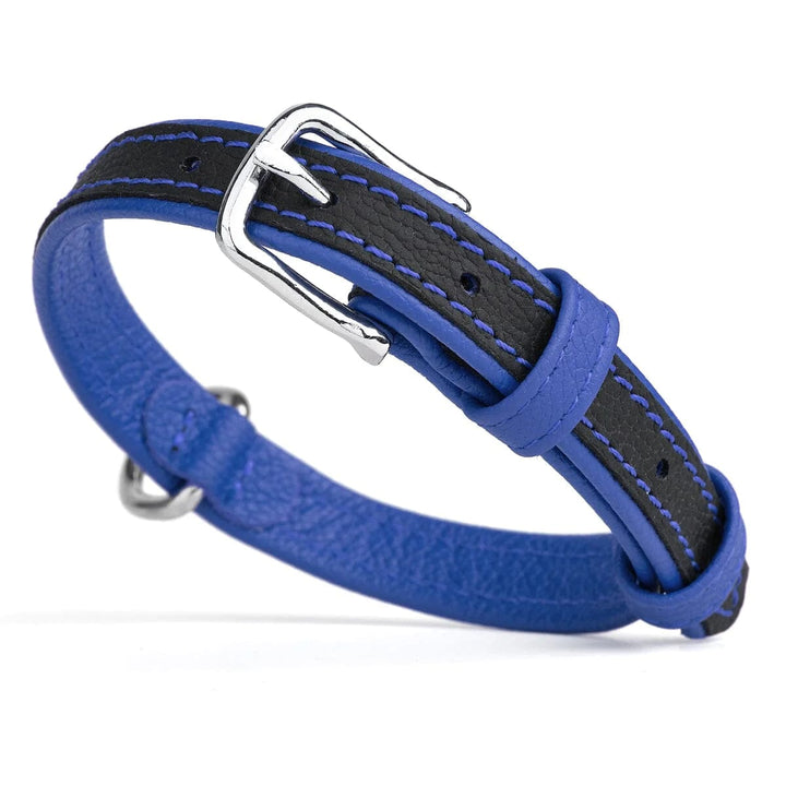 blue padded leather dog clooar