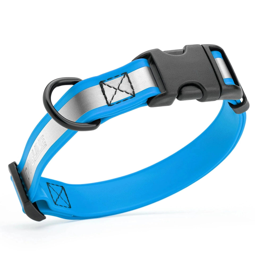 glowing dog collar