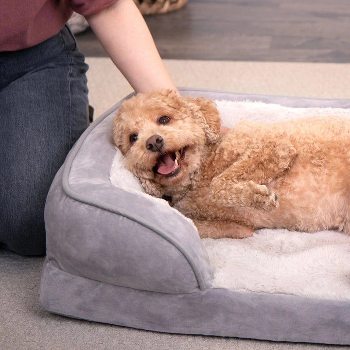 A Happy Pup Bolster Bed