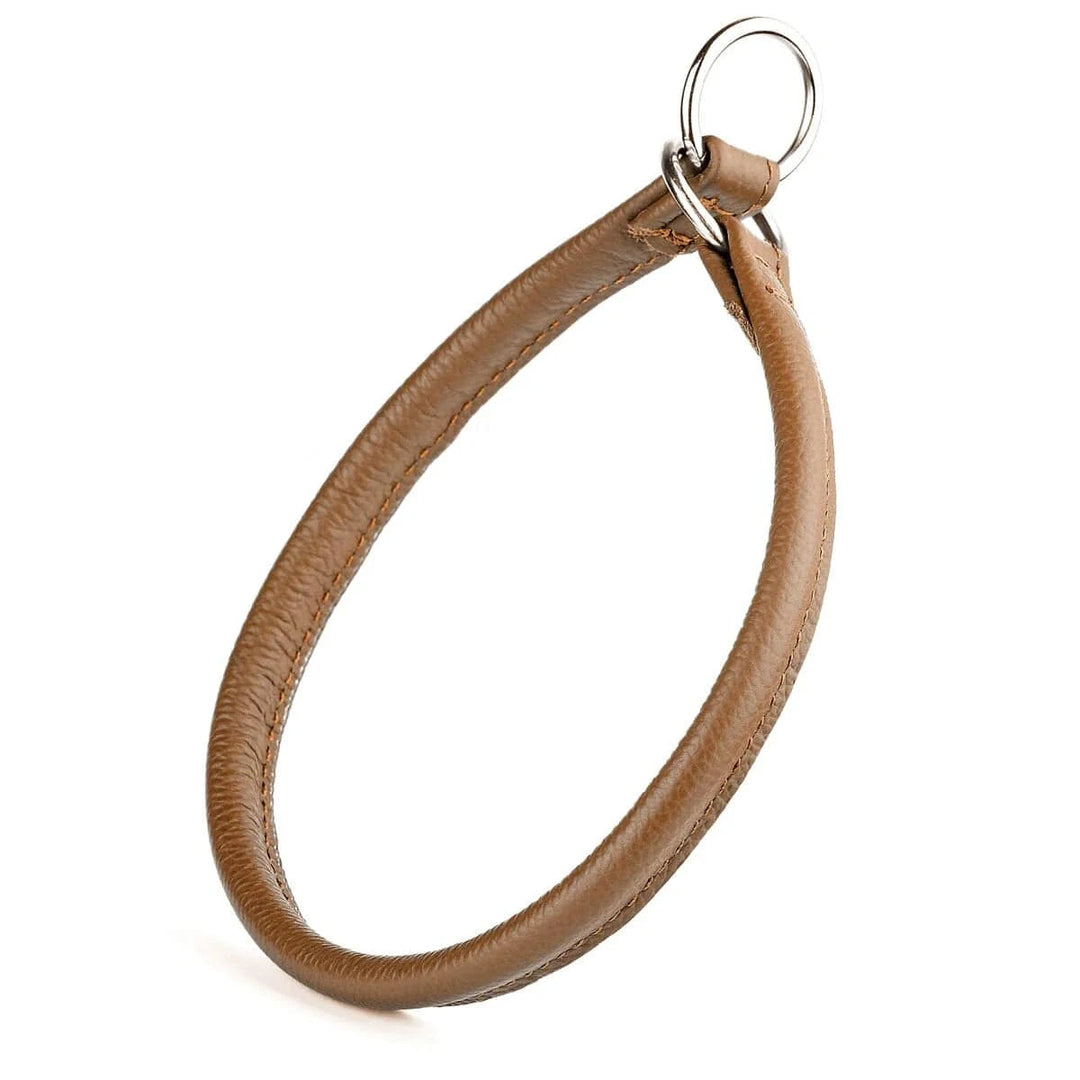 brown leather slip collar for dogs