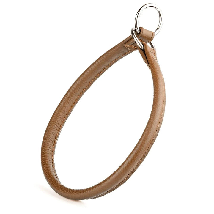 brown leather slip collar for dogs