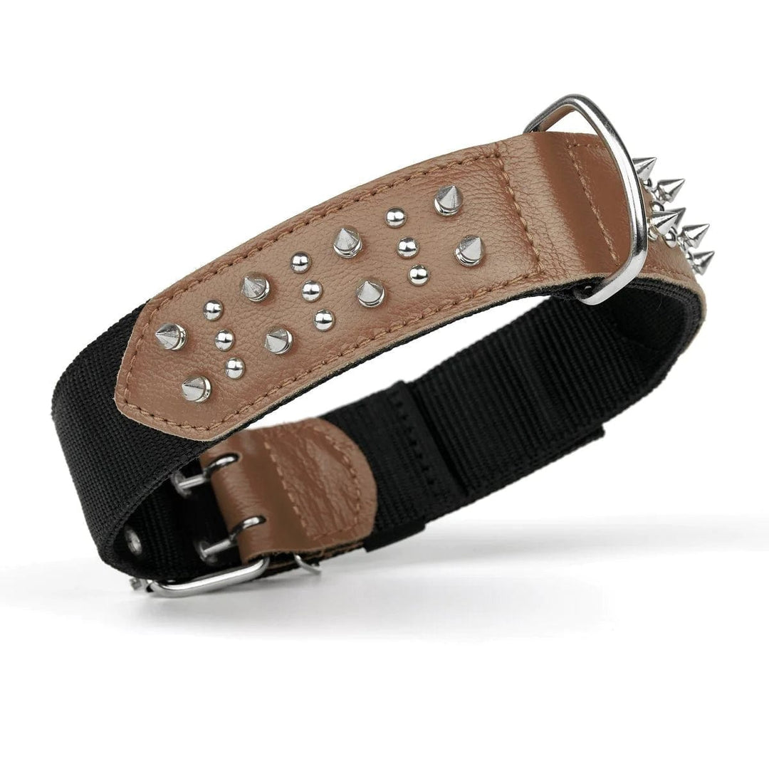 brown spike dog collar wide