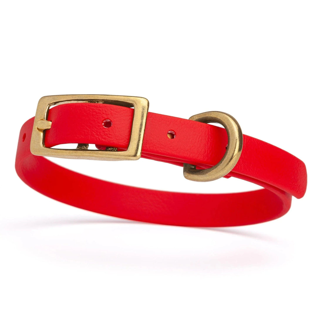 Brass Buckle Waterproof Dog Collars - 6 Colors
