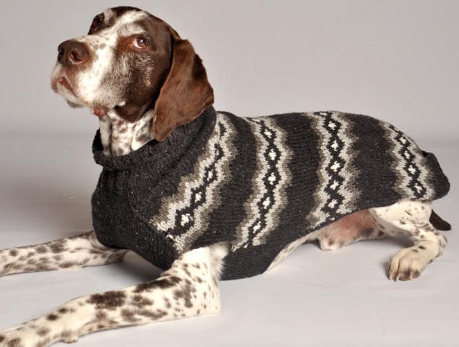 gray dog sweater -wool
