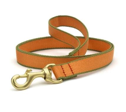 Tangarine Personalized Collar