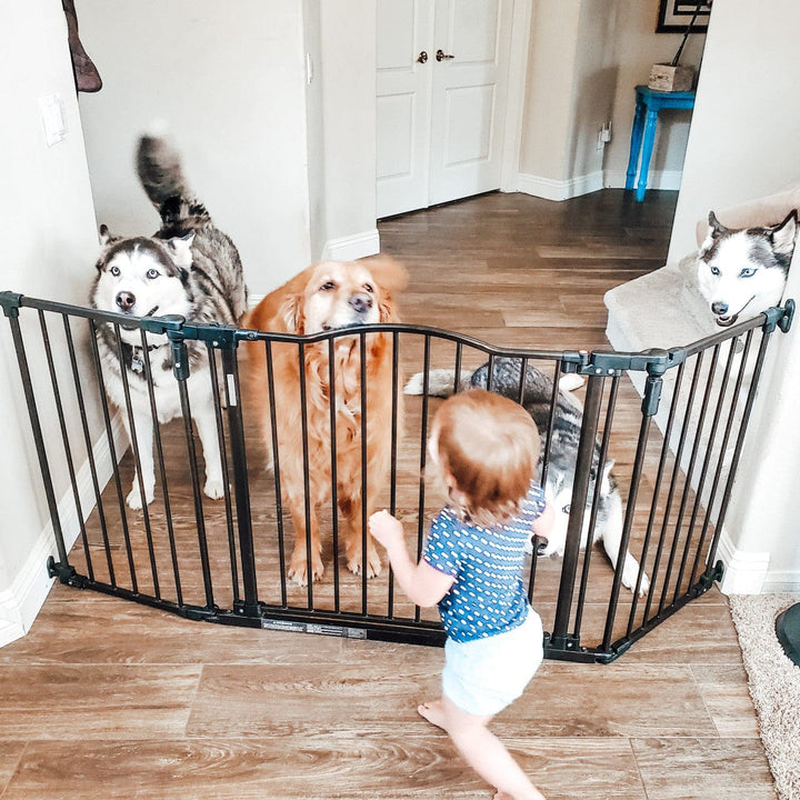 dog gate in use