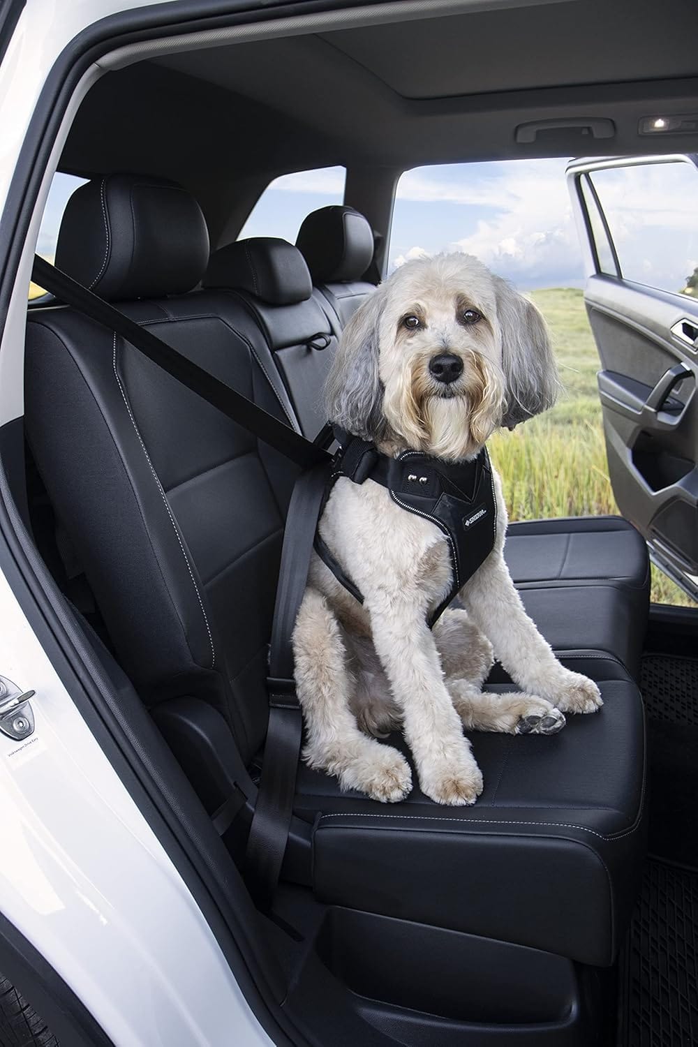 Leash Pet Seat Amazon Dog Car Harness KONG Ultimate Safety Tether KONG  Company Store