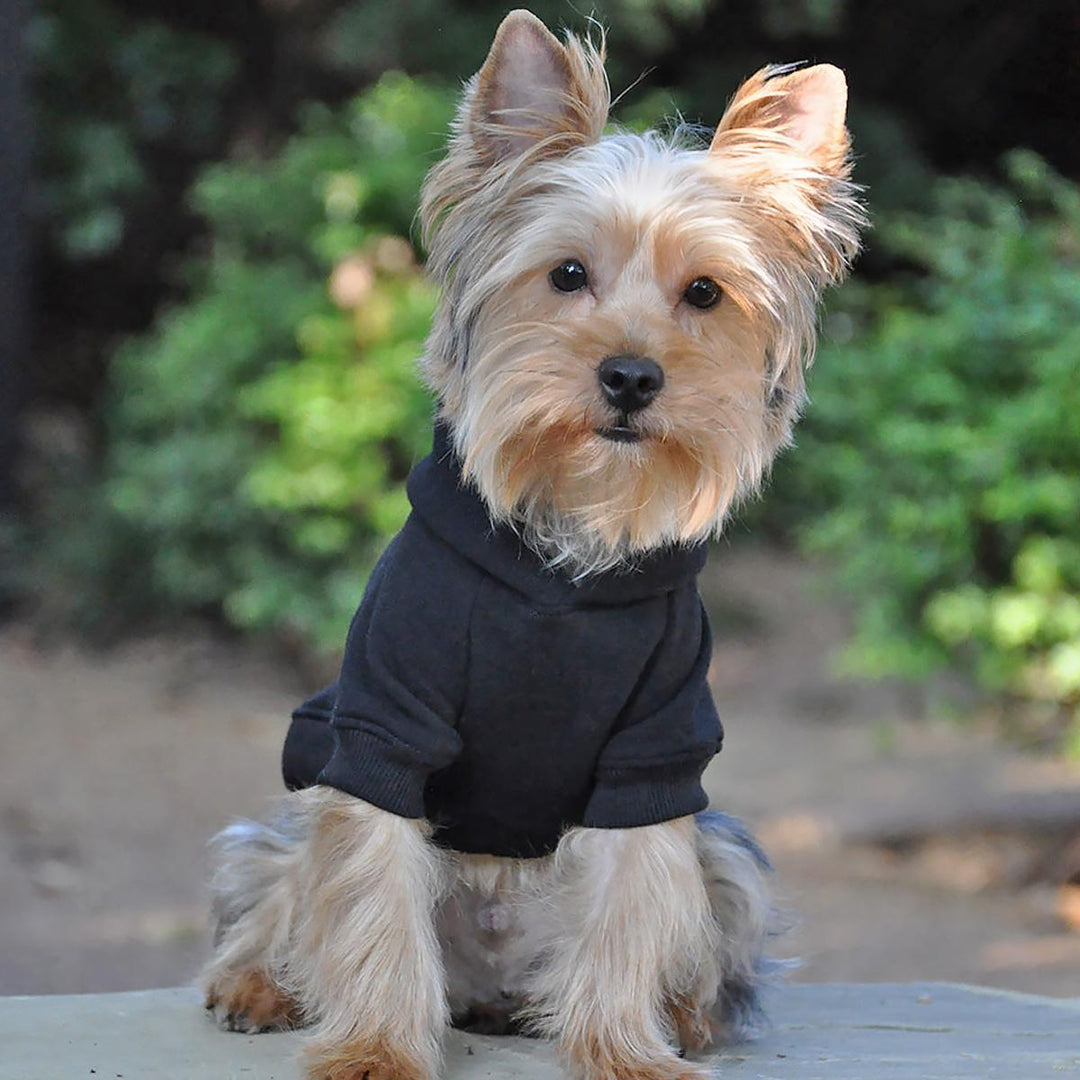 black dog hoodie with flex fit comfort
