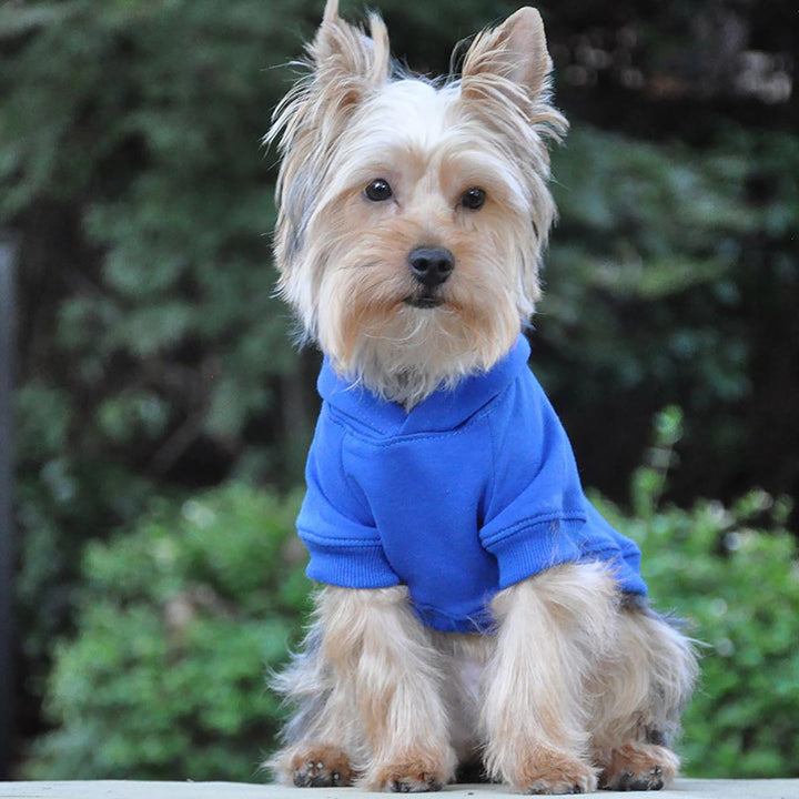 blue dog hoddie with flex fit comfort