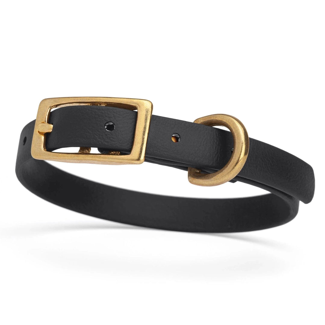 black dog collar w brass hardware
