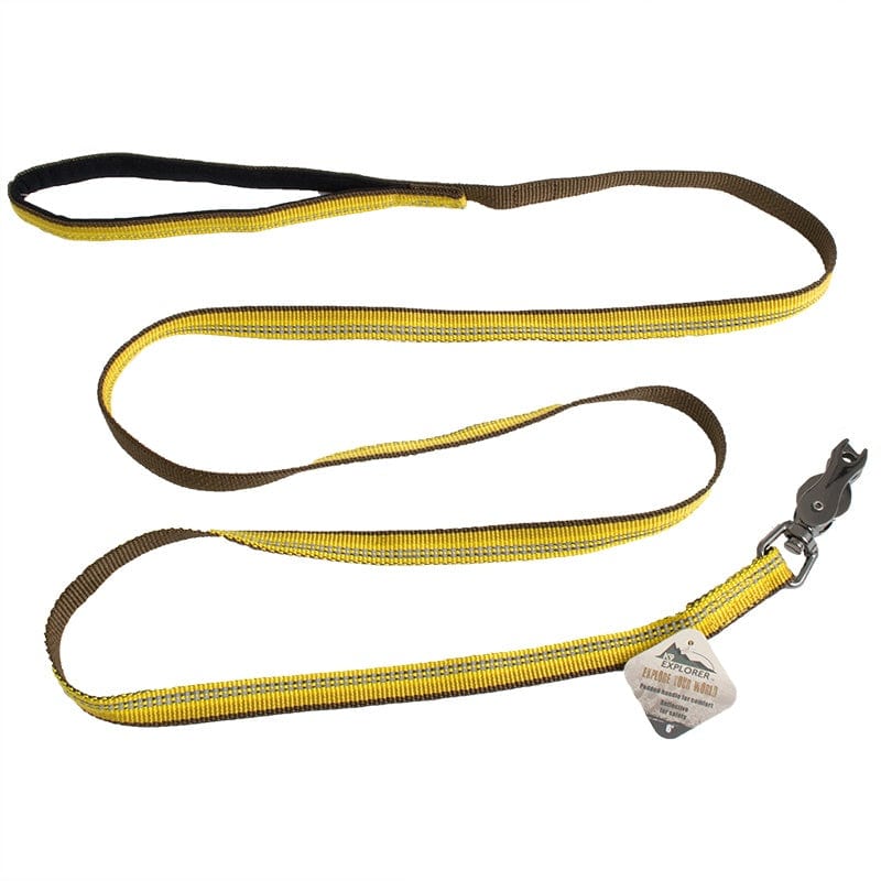 Reflective Dog Lead / Collar Pet Attire