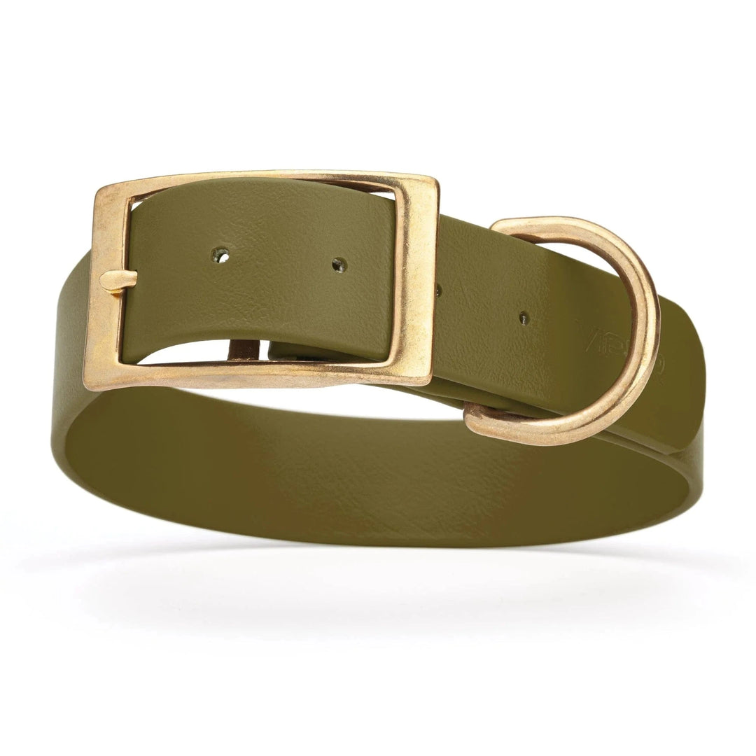 green wide collar with sold brass hardware