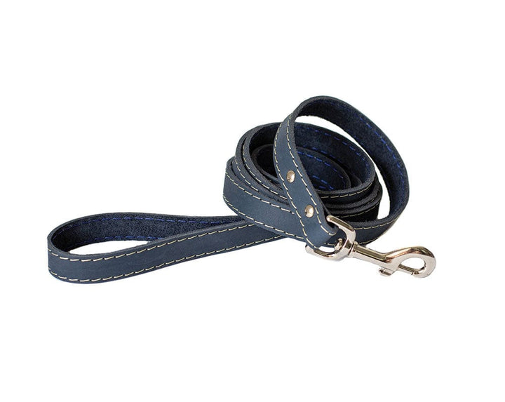 Navy Leather Collar w quick release buckle