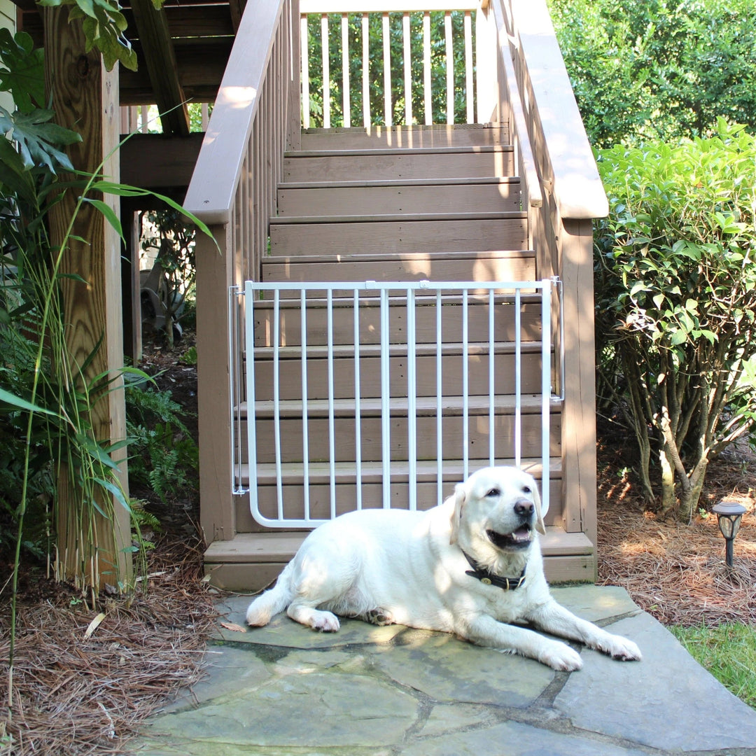 white otdoor pet gate with adjutable