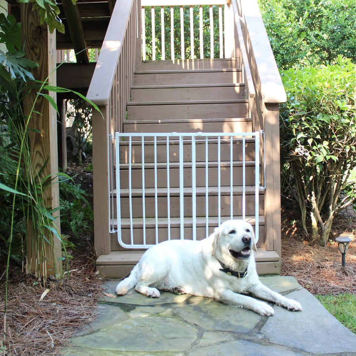 white otdoor pet gate with adjutable