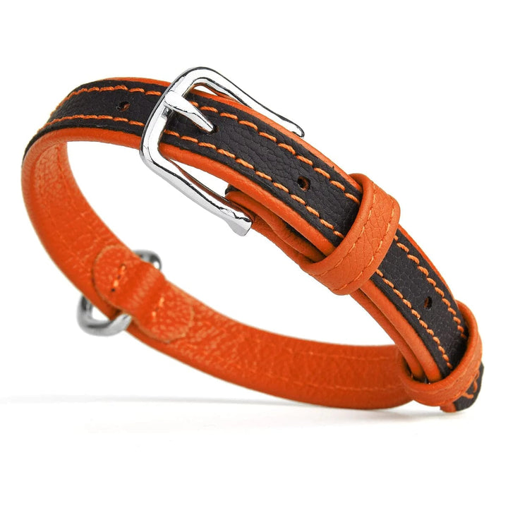orange padded leather dog collar