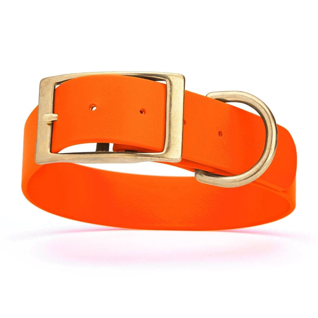 orange wide collar with sold brass hardware
