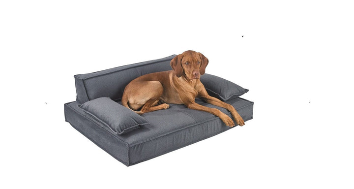 Hollywood Pet Sofa