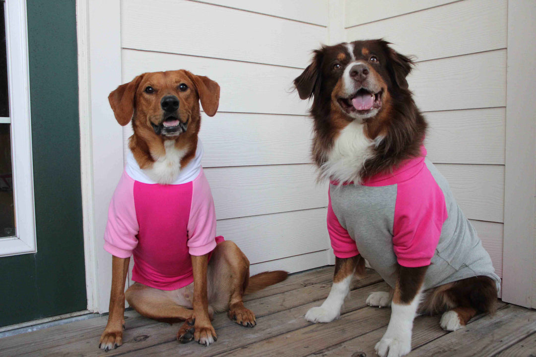 gray and pink dog hoodie with pouch
