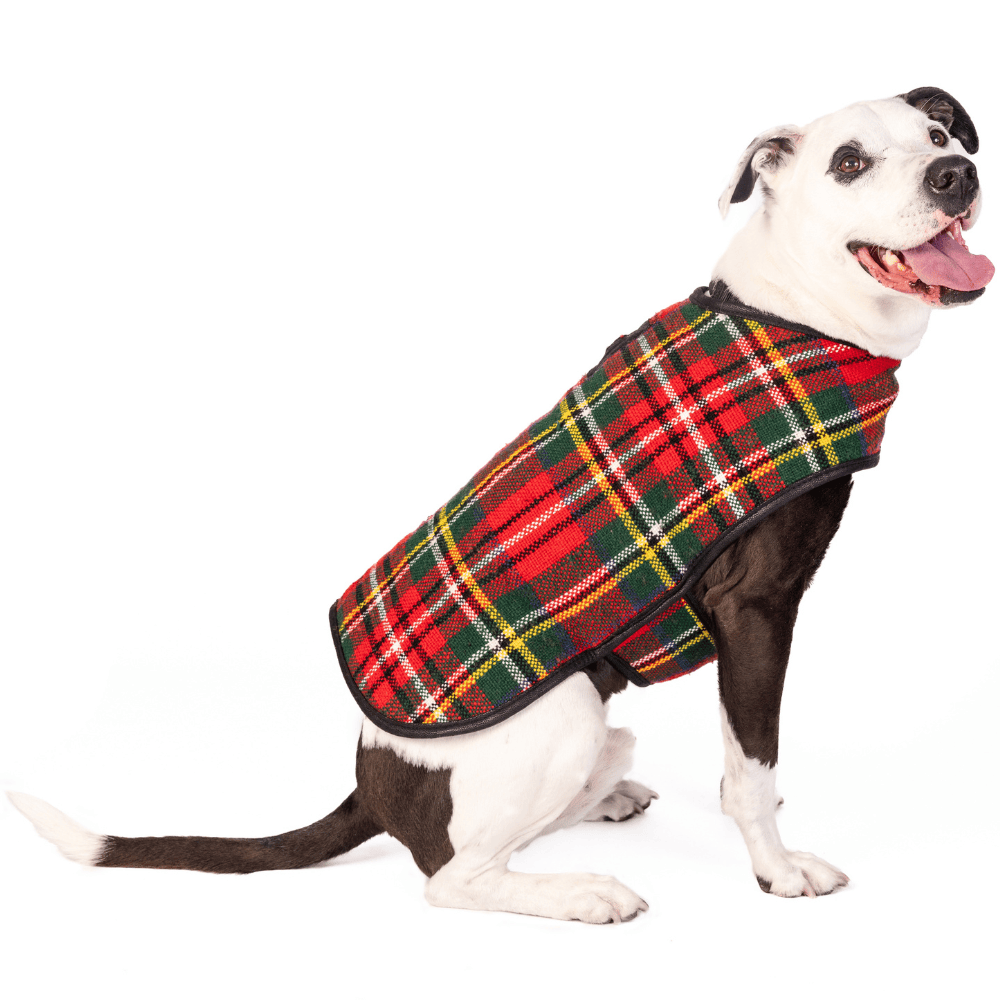 Chilly Dog LLC
