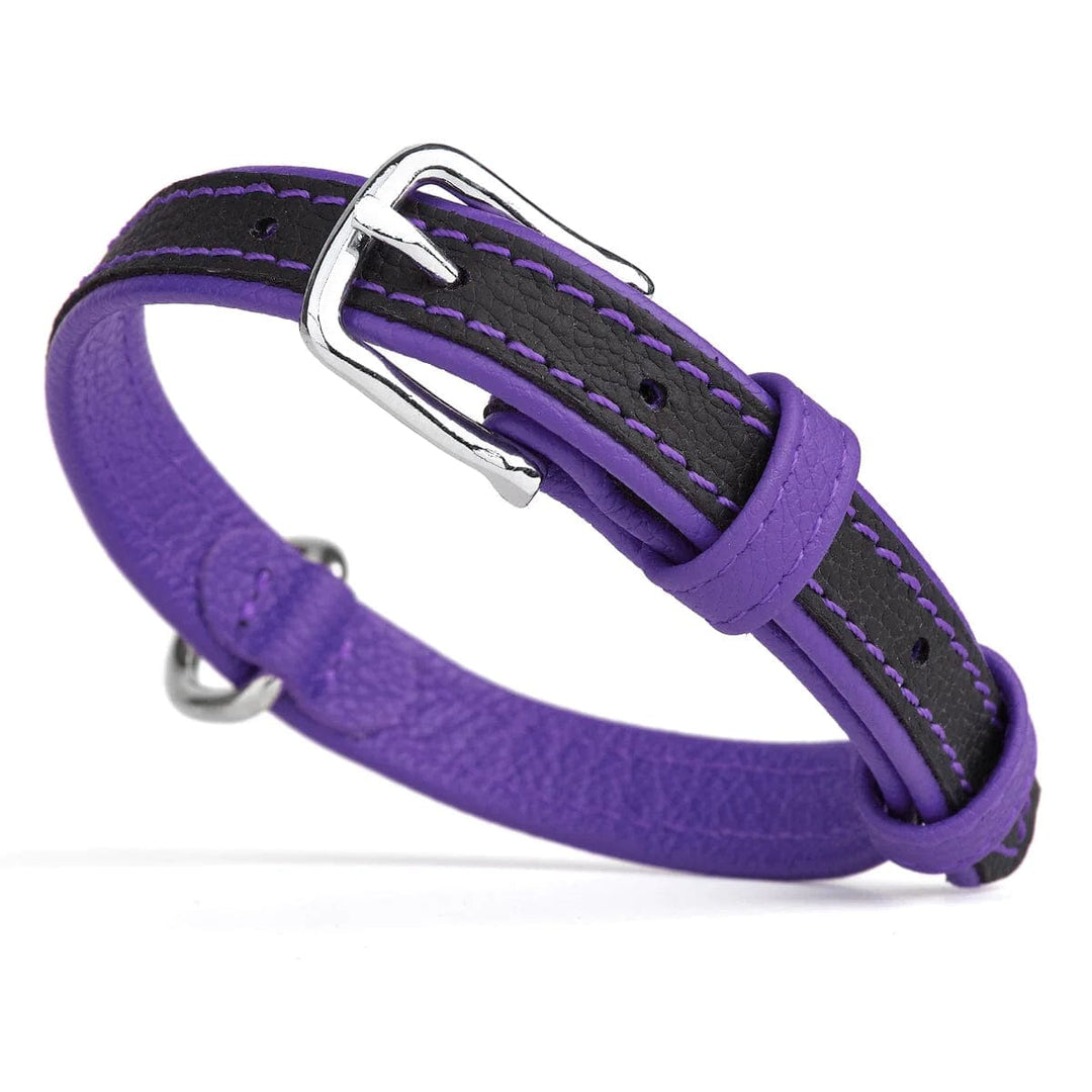 purple leather-dog-collar