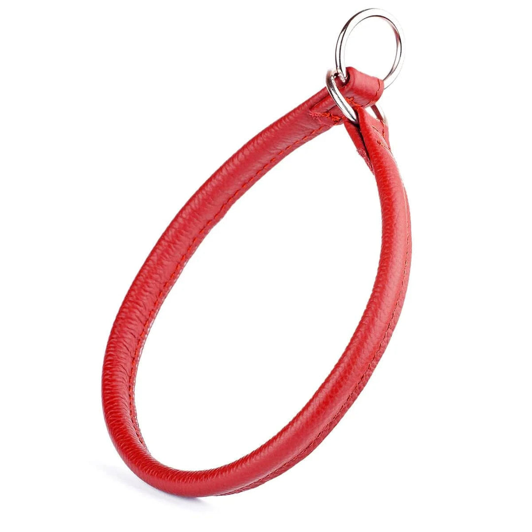 red leather slip collar