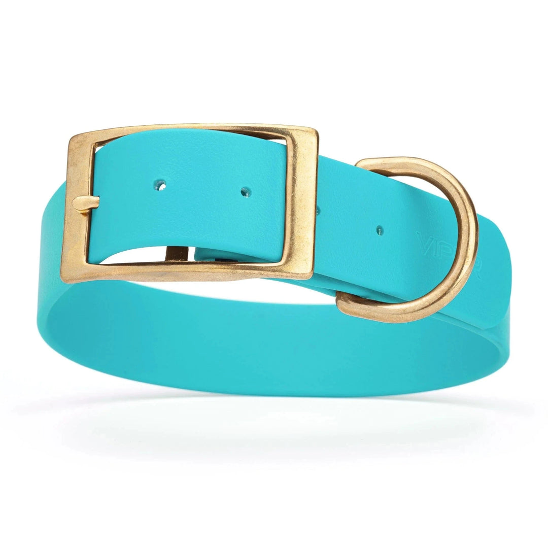 sky blue wide collar with sold brass hardware