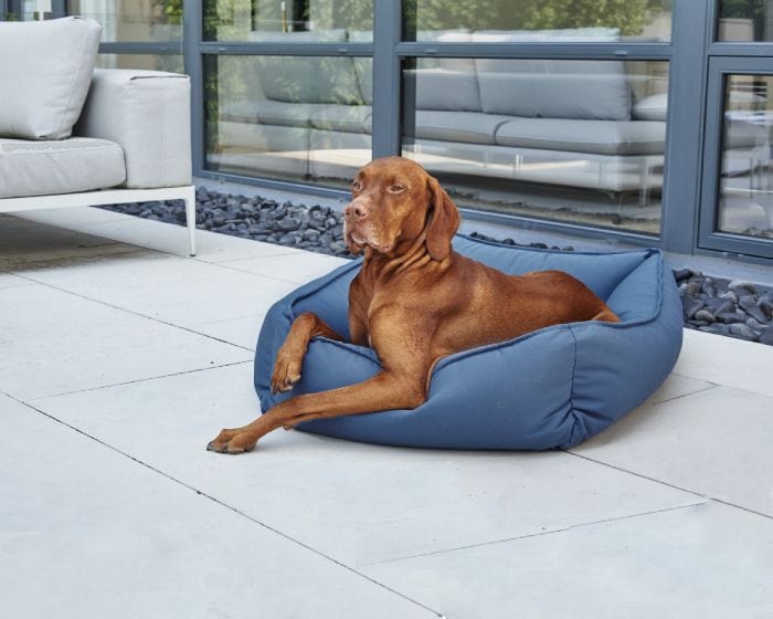 Outside dog bed