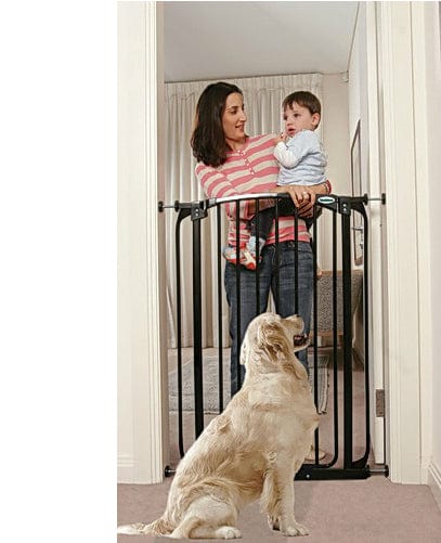 tall bindaboo dog gate -black to 42 in wide