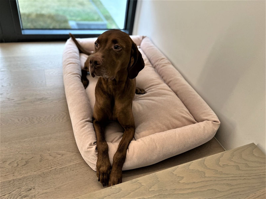 Triggo Pet Mattress -4 colors