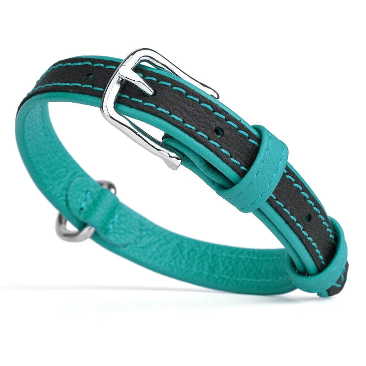 Teal Padded Leather Collar - No Stretch