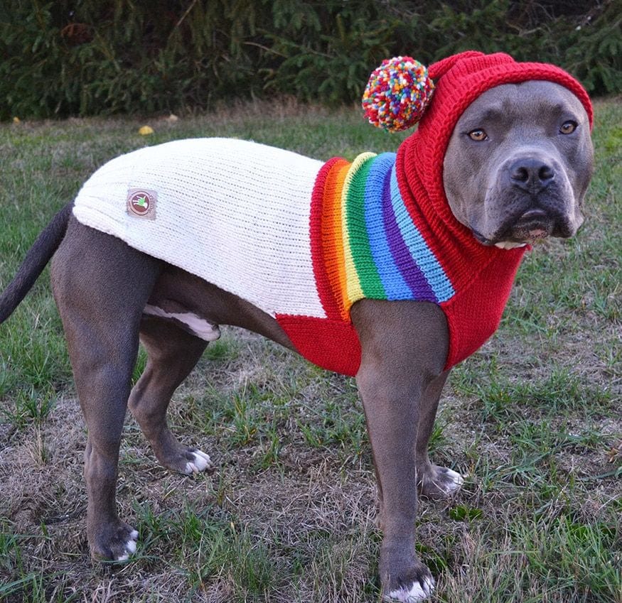 Vintage Ski Hoodie Sweater