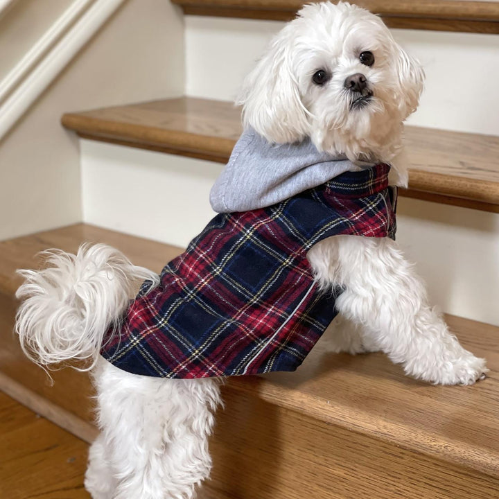 black and red Plaid Hoodie with liner