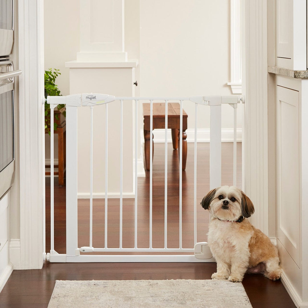 white doorway gate