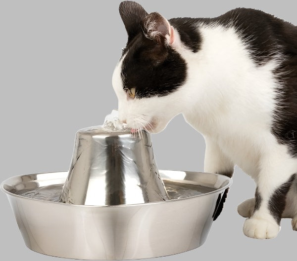 Stainless Pet Water Fountain