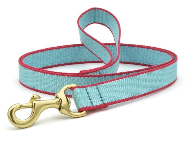 aqua coral dog lead w brass hardware