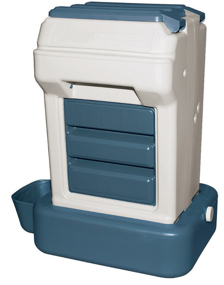 Large dog hotsell automatic water dispenser