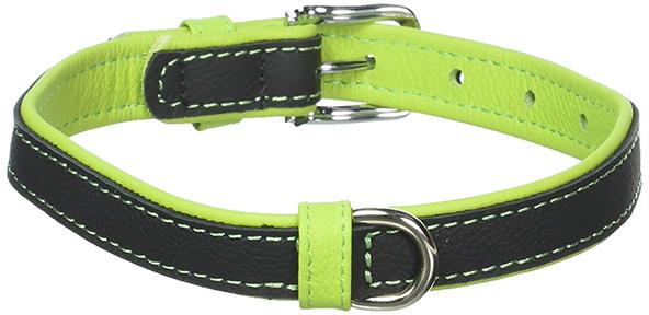 Dual Color leather Collar green